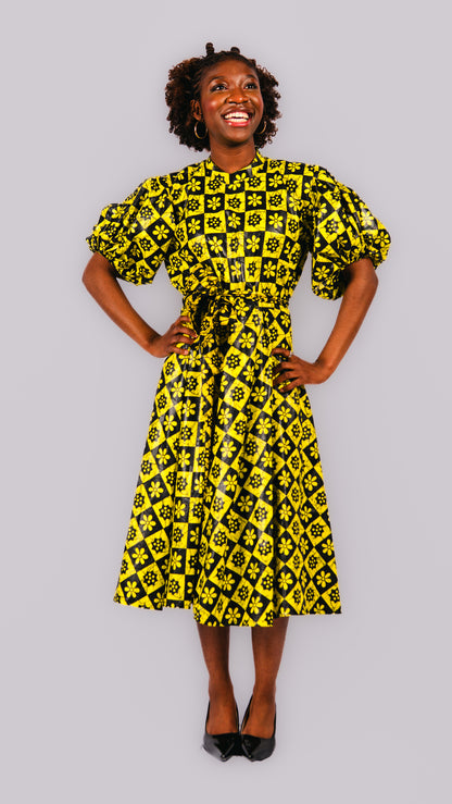 Yina Midi Skater Dress